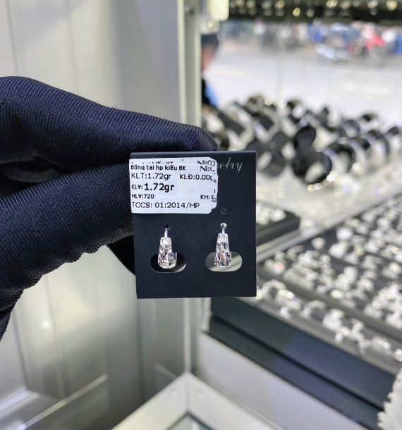 Bông Tai Bạch Kim VT750 VT19