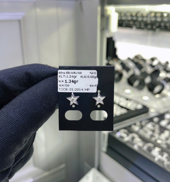 Bông Tai Bạch Kim VT750 VT22