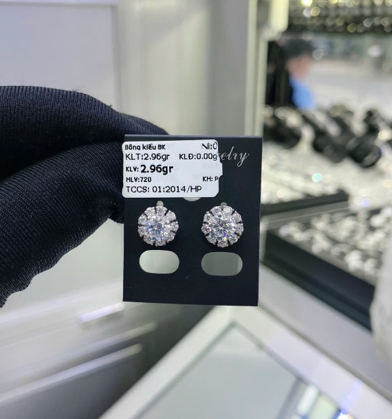 Bông Tai Bạch Kim VT750 VT62