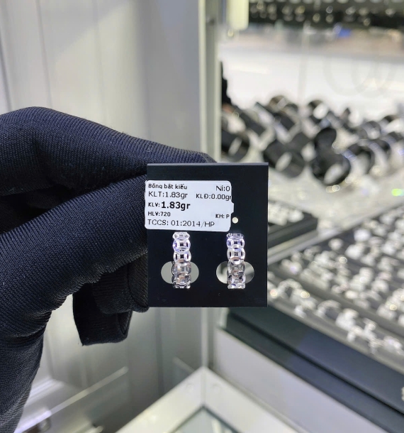 Bông Tai Bạch Kim VT750 VT75