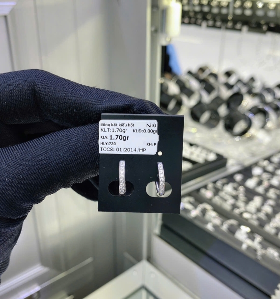 Bông Tai Bạch Kim VT750 VT76