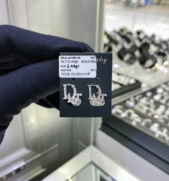 Bông Tai Bạch Kim VT750 VT81